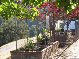 we help build raised planting beds like these